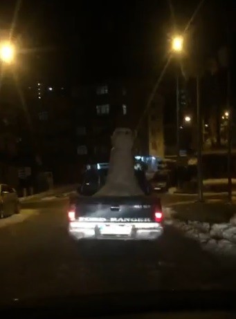 Trabzon'da görenleri şaşırtan kamyonet