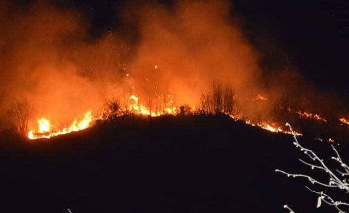 Karadeniz'de iki ilde orman yangını