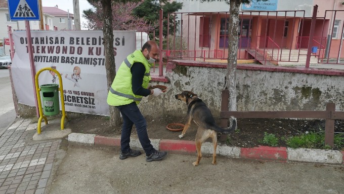 Trabzon'da sahipsiz hayvanlar unutulmuyor