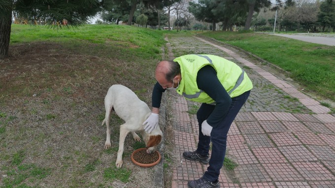 Trabzon'da sahipsiz hayvanlar unutulmuyor