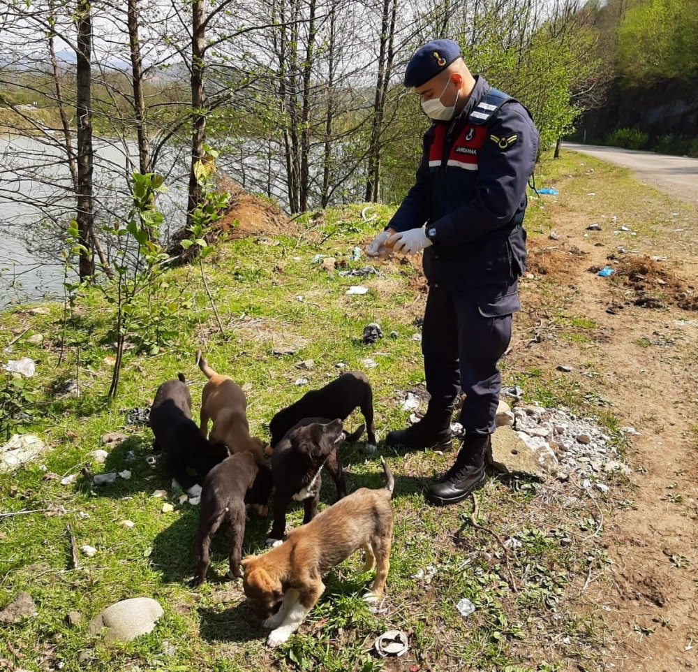 Trabzon’da can dostlar unutulmadı