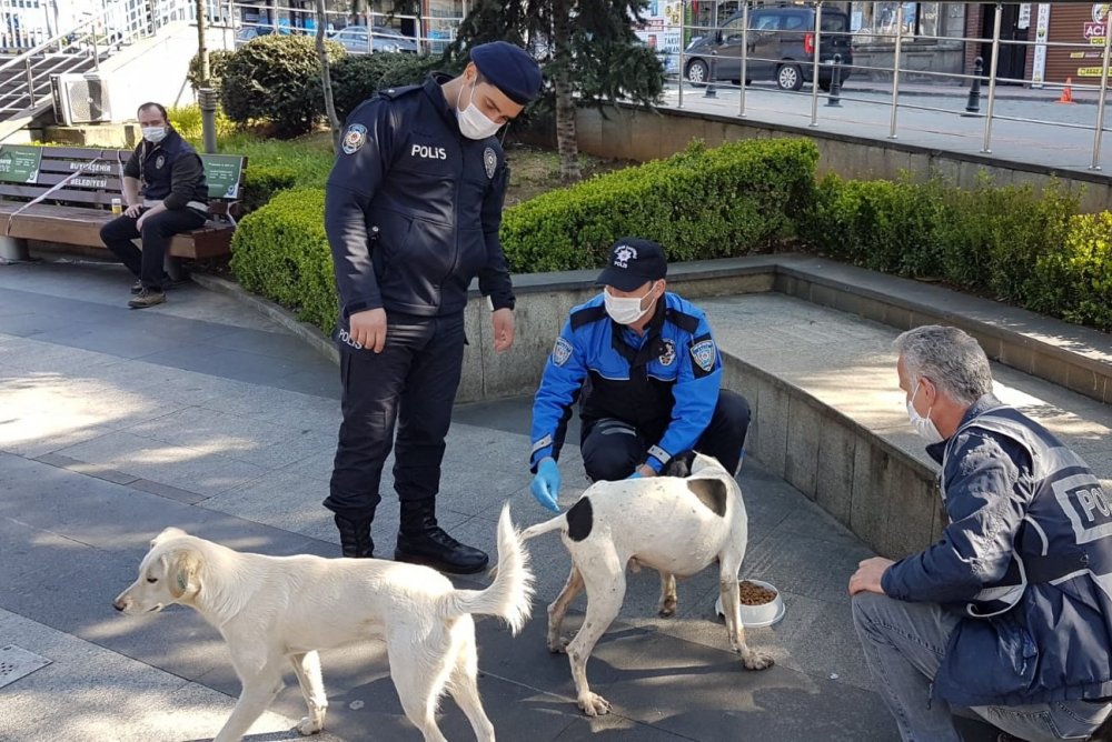 Trabzon’da can dostlar unutulmadı