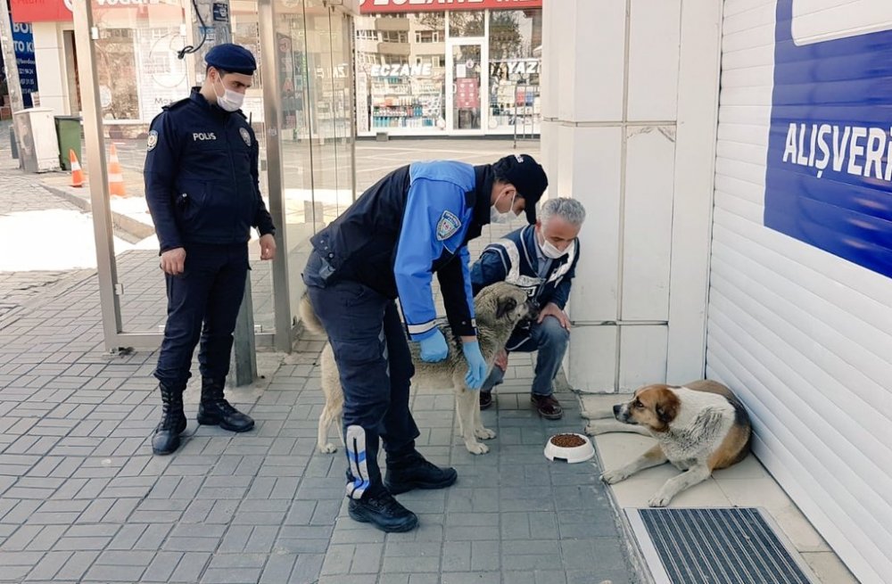 Trabzon’da can dostlar unutulmadı