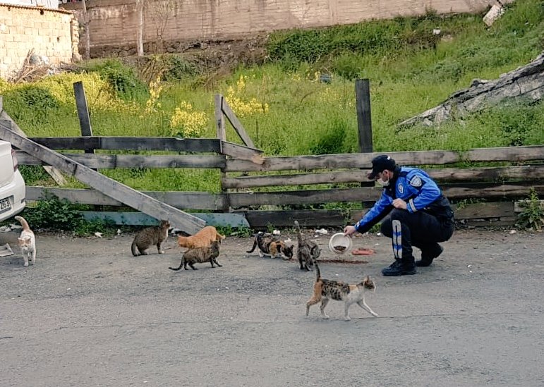 Trabzon’da can dostlar unutulmadı