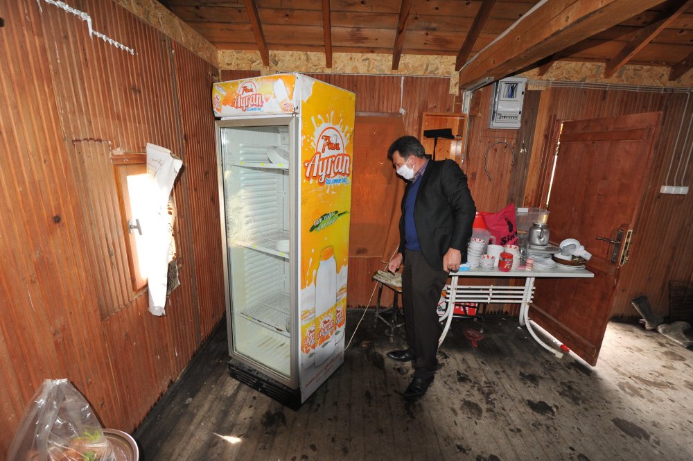Trabzon'da aç kalan ayı alabalık tesisine dadandı
