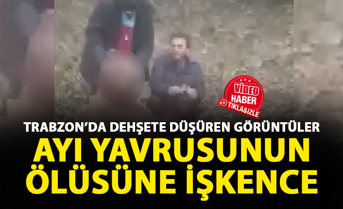 Trabzon'daki iskence görüntüsüne avcılardan tepki geldi