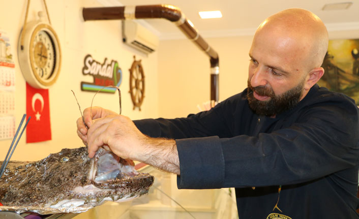 Karadeniz'de ağlara Fener balığı takıldı