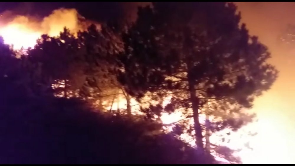 İzmir'de orman yangını: Onlarca hektar ormanlık alan küle döndü.