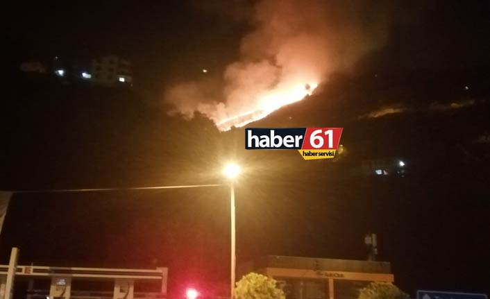 Trabzon'da yangın!
