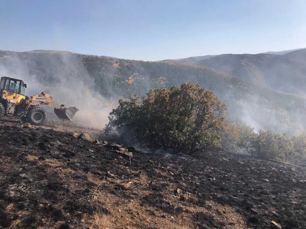 Gümüşhane'de yangın! 8 hektar alan zarar gördü
