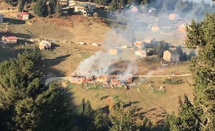 Trabzon'da yayladaki yangın 5 evi kül etti
