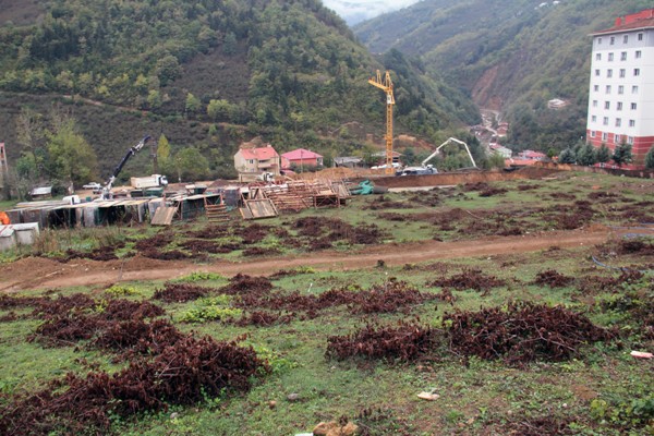 Giresun'da sel bölgesinde yeni gelişme! Temel atıldı