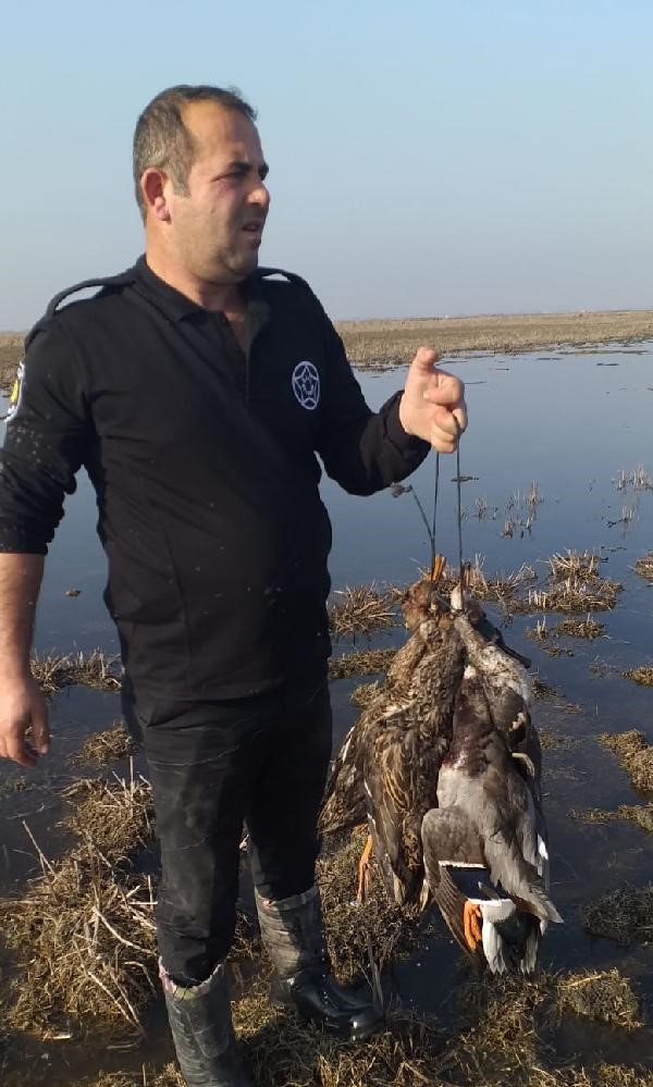 Samsun'da coğrafya öğretmeni kuş cennetinde avlanırken yakalandı