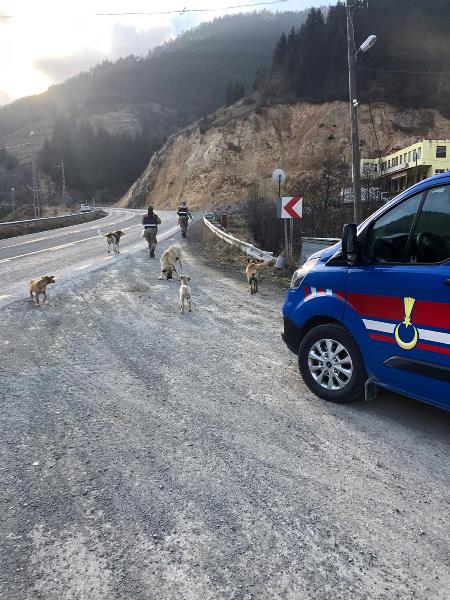 Trabzon’da Jandarma’dan örnek hareket
