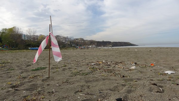 Trabzon'un doğal kalmış plajına yapılacak çevre sakinlerini isyan ettirdi