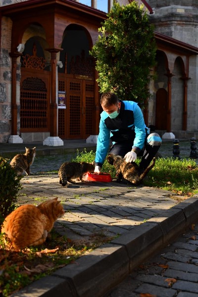 Trabzon'da kısıtlamada sokak hayvanları unutulmadı