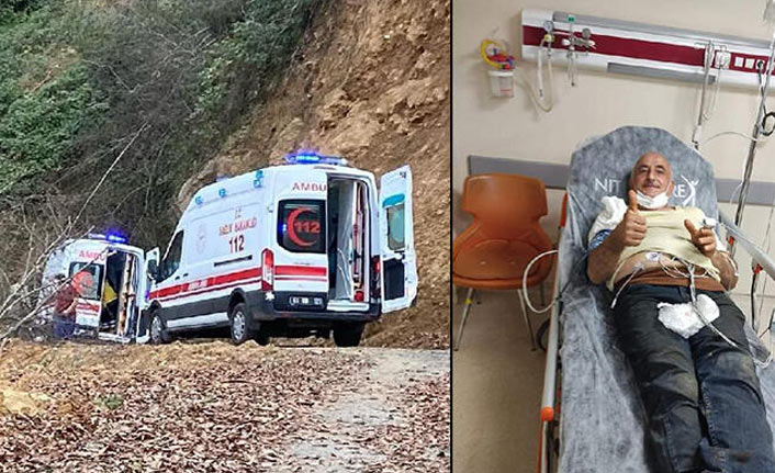 Trabzon'da deli bal hastanelik oldu