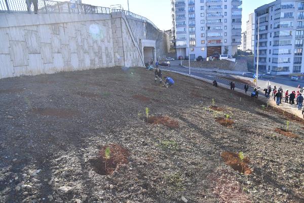 Kan bağışçılarının adı hatıra ormanında yaşayacak!