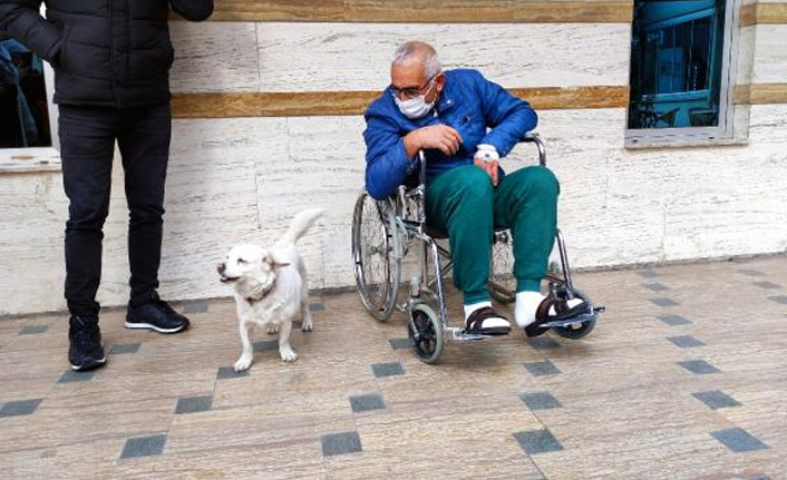 Trabzon'da hastane kapısında sahibini bekleyen köpek dünya basınında