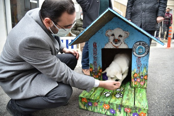 Trabzon'da vefalı köpek ‘Boncuk’ kulübesine kavuştu