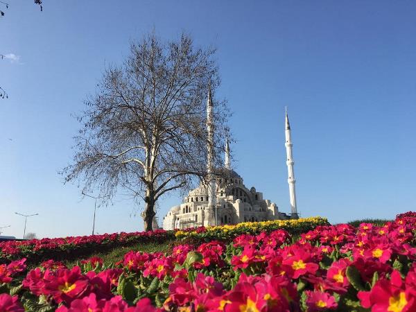 Büyükşehir Trabzon’u çiçeklerle donatıyor