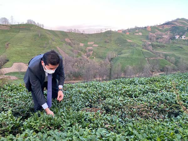 CHP’li Ahmet Kaya TBMM’de konuştu: “Depolar çay doluyken biz çay ithal ediyoruz”