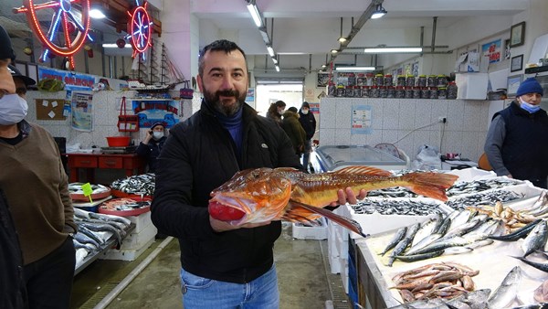 Kayıp balık Trabzon'da ortaya çıktı! Fiyatı cep yakıyor