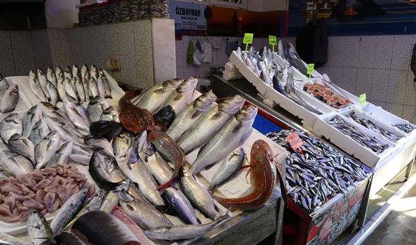 Kayıp balık Trabzon'da ortaya çıktı! Fiyatı cep yakıyor