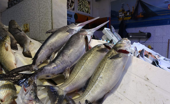 Trabzon tezgahlarında İstanbul'dan gelen balıklar satışa sunuldu