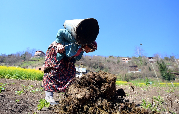Trabzon'da çiftçiler tarla temizliklerine başladı