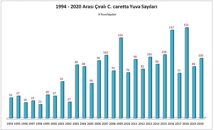 İklim değişikliği Caretta carettaları da etkiledi