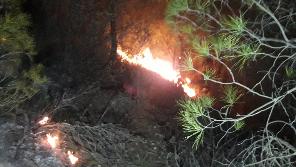 Muğla'da, 5'er dakika arayla ormanlık iki alanda yangın 