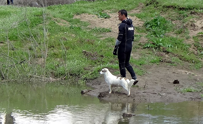 Sokak köpeğinden büyük vefa örneği