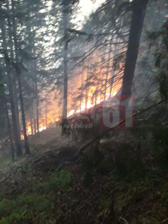 Trabzon’da orman yangını! Müdahale sürüyor