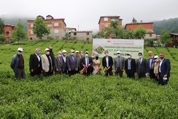 Trabzon'da çay hasadı törenle başladı
