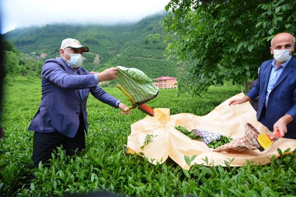 Selahaddin Çebi: "Çay fiyatı tarihin en iyisi"