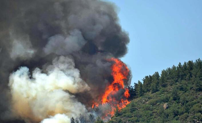 Marmaris'te orman yangını:1 şehit!