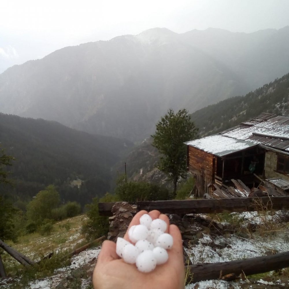 Artvin’de dolu yağışı etkili oldu