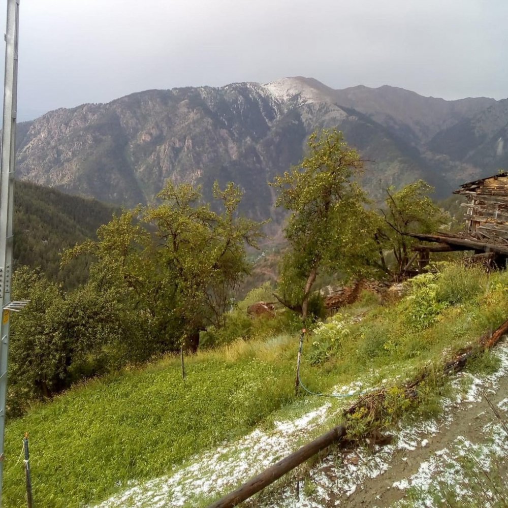 Artvin’de dolu yağışı etkili oldu