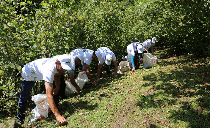 Ordu’da tahmini fındık rekoltesi 167 bin 300 ton