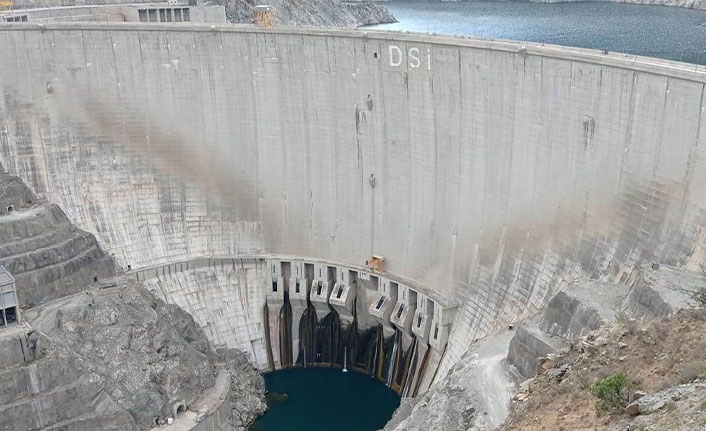 Artvin’de baraj setine tırmanan keçiler, görenleri şaşkına çeviriyor