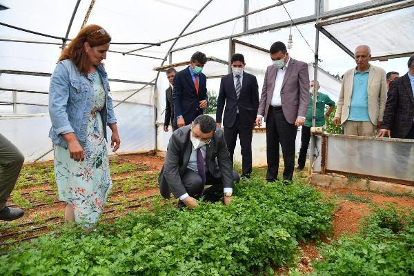 Genç: “Devletimiz tarım üreticilerine ciddi destek veriyor”