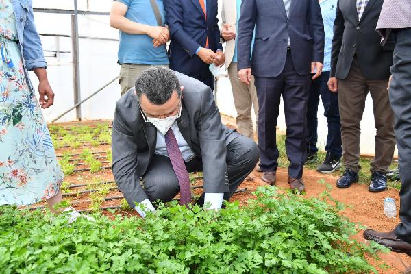 Genç: “Devletimiz tarım üreticilerine ciddi destek veriyor”