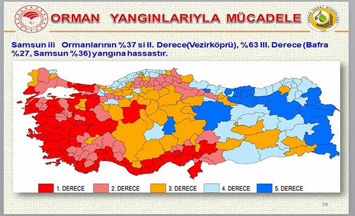 Samsun'da orman yangınlarının bilançosu açıklandı