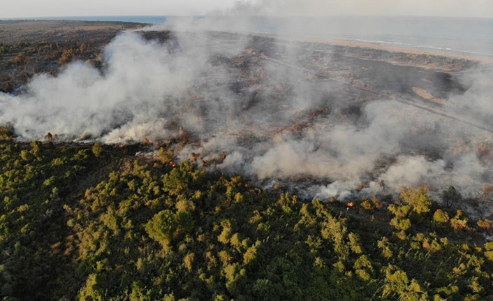 Samsun'da orman yangınlarının bilançosu açıklandı