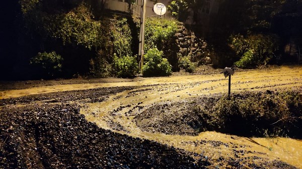 Artvin'de şiddetli yağış! Yollar çamurla kaplandı