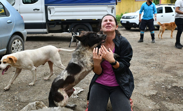 Selde kurtarılan hayvanlara Trabzon Belediyesi sahip çıktı
