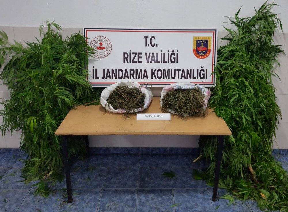 Rize'de uyuşturucu operasyonu: 1 gözaltı