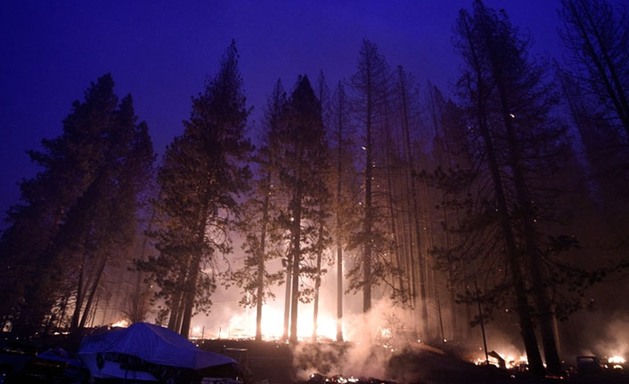 California'daki 'Caldor' yangını 756 kilometrekare alanı tahrip etti