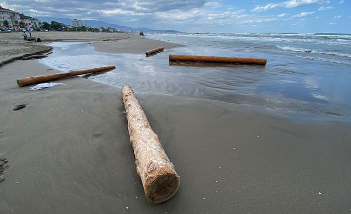 Selin taşıdığı tomruklar Karadeniz'de sahile vurdu